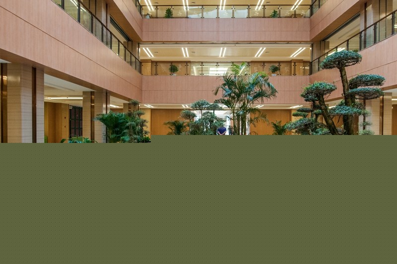 濰坊市中醫(yī)院東院區(qū)景觀(guān)綠化工程